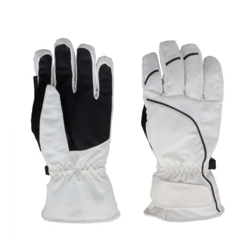 Ski Gloves